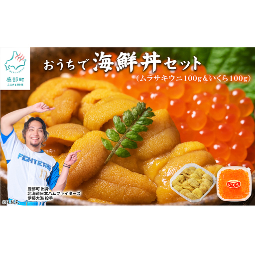 【北海道産】うにいくらセット ふり塩うに100g いくら醤油漬け100g キタムラサキウニ 鮭いくら うにいくら丼 おうちで海鮮丼セット