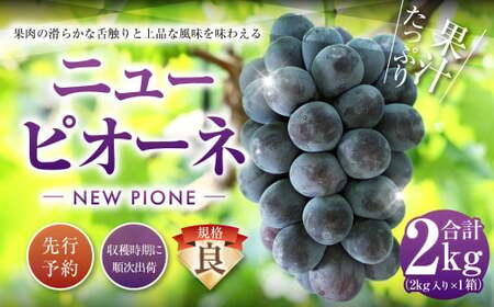 ニューピオーネ(良) 2kg ぶどう 葡萄 フルーツ 果物 岡山県 岡山県産 2027年 先行予約 [2027年8月下旬-9月下旬発送予定]