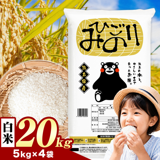 ひごみのり 白米  20kg 熊本県産