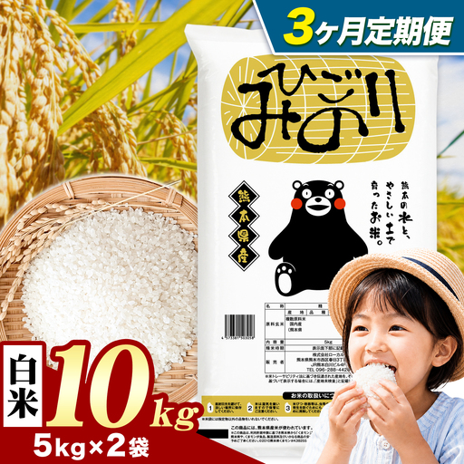 【3ヶ月定期便】ひごみのり 白米 熊本県産 ブレンド米 10kg 熊本県産 ふるさと納税  精米 米 こめ ふるさとのうぜい コメ お米 おこめ《お申込み翌月から出荷》