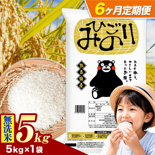 【6ヶ月定期便】ひごみのり 無洗米 熊本県産 ブレンド米 5kg 熊本県産 ふるさと納税  精米 米 こめ ふるさとのうぜい コメ お米 おこめ《申込み翌月から発送》