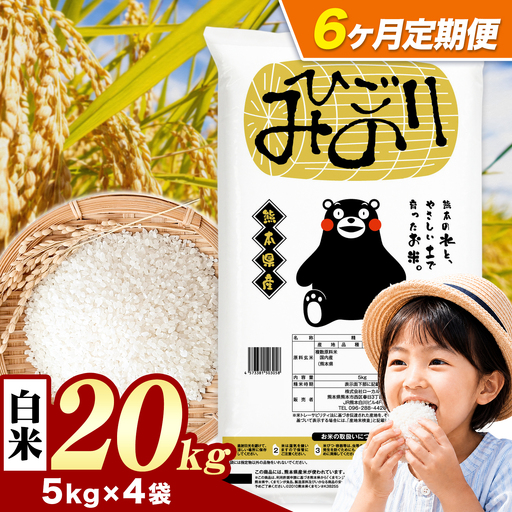 【6ヶ月定期便】ひごみのり 白米 熊本県産 ブレンド米 20kg 熊本県産 ふるさと納税  精米 米 こめ ふるさとのうぜい コメ お米 おこめ《お申込み翌月から出荷》
