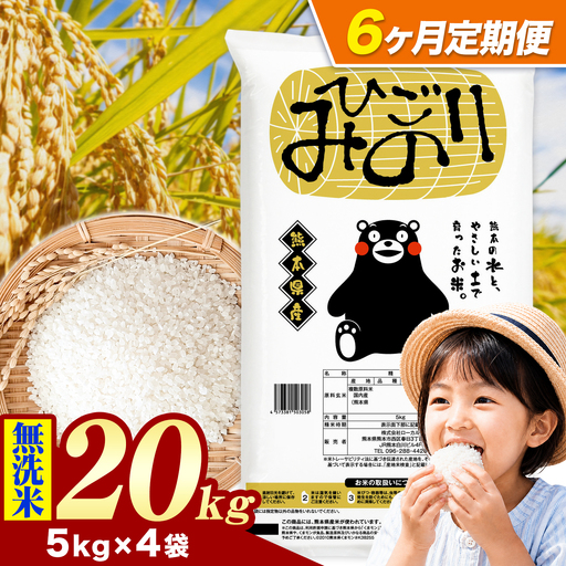 【6ヶ月定期便】ひごみのり 無洗米 熊本県産 ブレンド米 20kg 熊本県産 ふるさと納税  精米 米 こめ ふるさとのうぜい コメ お米 おこめ《お申込み翌月から出荷》