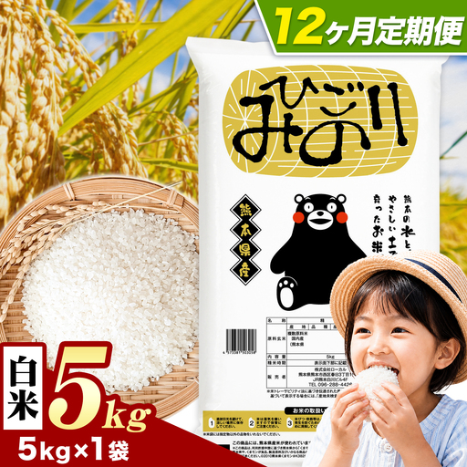 12ヶ月定期便 ひごみのり 白米 5kg 訳あり