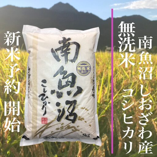 【令和8年産　新米予約】定期便★12ヶ月【無洗米】5kg南魚沼しおざわ産コシヒカリ【定期便 銘柄米 ブランド米 無洗米 こしひかり コシヒカリ 魚沼産 新潟米 ごはん】【2026年10月上旬から1ヶ月以内に順次発送予定】