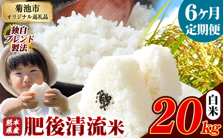 【6ヶ月定期便】熊本県産 肥後清流米 白米 20kg ブレンド米《お申込み翌月から出荷》 熊本県産 ふるさと納税 精米 米 こめ ふるさとのうぜい コメ お米 おこめ