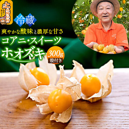 【9月下旬～10月中旬発送】《冷蔵》コアニ・スイーツホオズキ 300g（150g×2パック） 殻付き 生食用 ほおずき ゴールデンベリー スーパーフード たじゅうろう農園【先行予約】