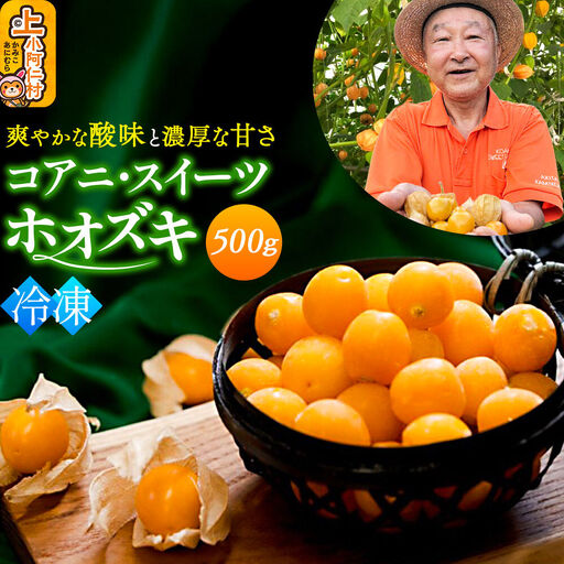 [9月下旬〜12月下旬発送][冷凍]コアニ・スイーツホオズキ 500g 食用ほおずき ゴールデンベリー スーパーフード たじゅうろう農園[先行予約]