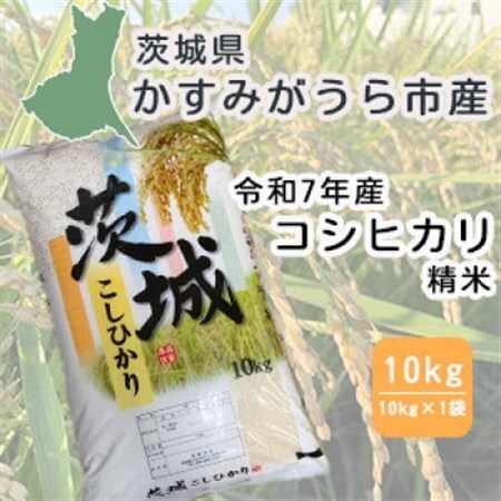 令和7年産　茨城県かすみがうら市産　精米　コシヒカリ　10kg【1662549】