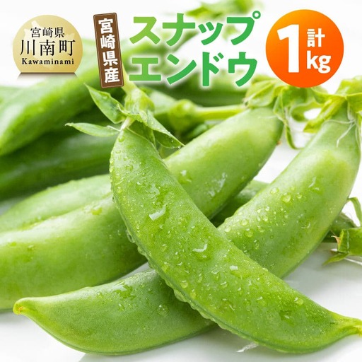 宮崎県産　スナップエンドウ1kg 【 宮崎県産 川南町産 スナップエンドウ 】