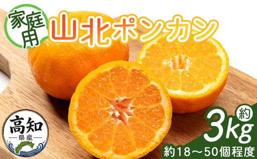ポンカン 3kg 訳あり 先行受付 山北ぽんかん yk-0082