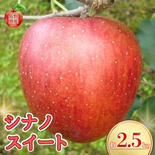 [2026年先行予約]長野県産りんご シナノスイート(長野県オリジナル品種) 約2.5kg|りんご