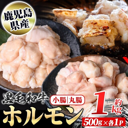 黒毛和牛 ホルモン 牛ホルモン 小腸 丸腸 セット 計約1kg 約500g×各1P もつ鍋 鹿児島県産 国産 真空パック 焼肉[新村畜産]A01038
