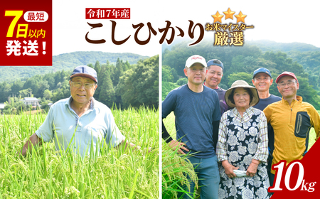 令和7年産 こだわりのコシヒカリ 10kg | コシヒカリ 精米 栃木県 茂木町