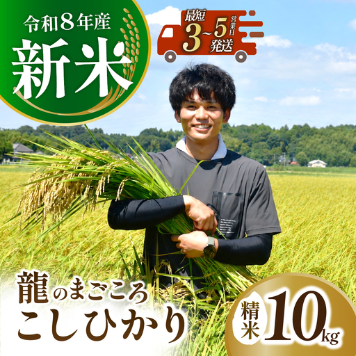 龍ケ崎のコシヒカリ 10kg(5kg×2袋) 【令和8年産】新米 | コシヒカリ 精米 茨城県 龍ケ崎市