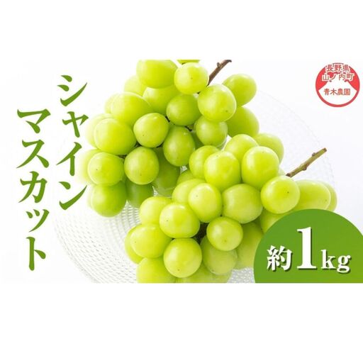 シャインマスカット 1kg 2～3房 長野県産 シャインマスカット