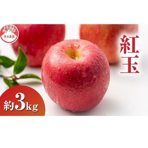 りんご 紅玉 3kg 7〜9玉 長野県産 りんご