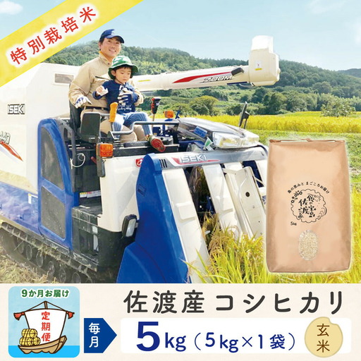 【定期便 9回】コシヒカリ 玄米 5kg | 新潟県 佐渡市 コシヒカリ 195962-3243