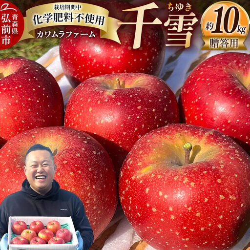 【26年10月下旬～発送】りんご 千雪 約10kg カワムラファーム【贈答用】青森 果物 フルーツ 林檎 リンゴ くだもの