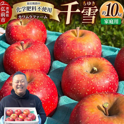 【26年10月下旬～発送】りんご 千雪 約10kg カワムラファーム【家庭用】青森 果物 フルーツ 林檎 リンゴ くだもの