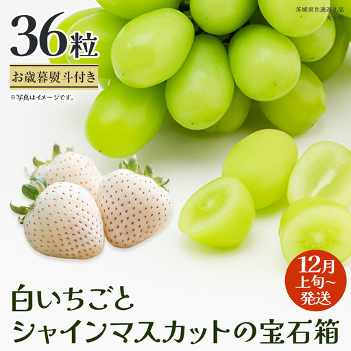 【 お歳暮 熨斗付き 】 白いちご と シャインマスカット の宝石箱 36粒 (茨城県共通返礼品：大子町)