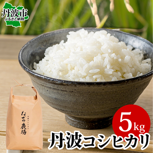 丹波産コシヒカリ 白米 5kg 〈発送直前精米〉〈丹波市〉 お米 白米