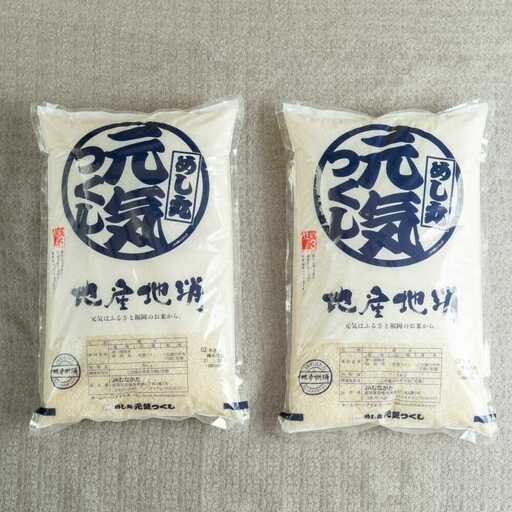 【令和7年産】果物屋さんが選んだ米 元気つくし 10kg [BGAG025]げんきつくし