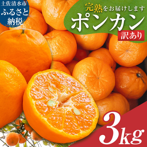 ぽんかん 3kg ポンカン 令和9年1月下旬以降発送 訳あり 柑橘[ぽんかん][R01497]