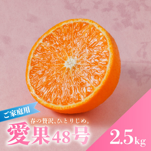 【2027年3月上旬頃から順次発送】 愛果48号 家庭用 約2.5kg | あいか48号 【RNK023】