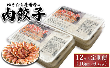 【12ヶ月定期便】ゆきむら壱番亭の肉餃子6パック(96個入り) ※離島への配送不可
