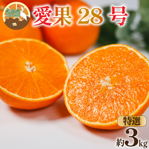 【紅まどんなと同品種】【特選】愛果28号 約3kg まどんな 【2026年12月中旬頃から順次発送】【KNN002】