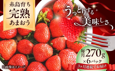 【先行受付】【全3回定期便】糸島市産 完熟 あまおう いちご（約270g×6P）【27年3月以降順次発送】 糸島市 / mhshops [AKQ006]  あまおう