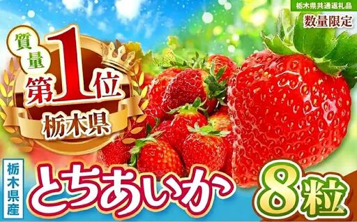 【先行予約】【栃木県共通返礼品】数量限定 とちあいか 8粒 | 栃木県 那珂川町