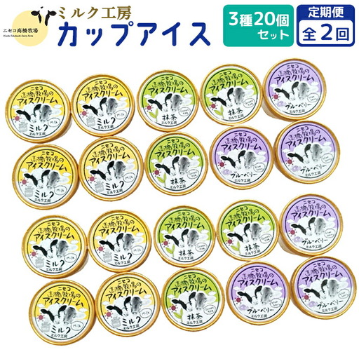 【定期便：全2回】ニセコ高橋牧場ミルク工房カップアイス3種20個セット【03129】