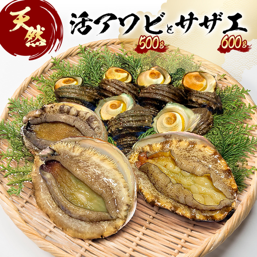 あわび 活あわび500g サザエ600g 淡路島 あわび