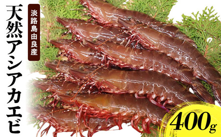 えび 淡路島産 アシアカエビ 400g 天然 えび