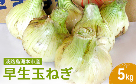 ふれあい市の会 早生 玉ねぎ 5kg タマネギ オニオン 野菜 旬 甘い 淡路島 洲本市