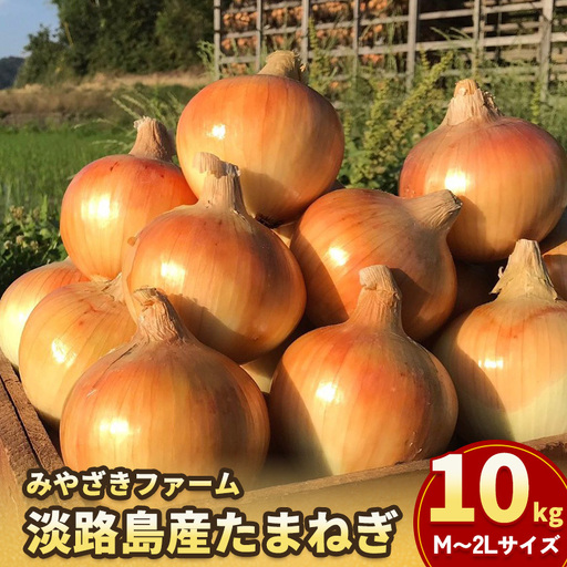 玉ねぎ 淡路島産 10kg みやざきファーム 甘い 玉ねぎ
