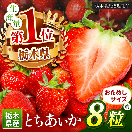 苺 いちご お試しとちあいか 8粒【栃木県共通返礼品】TT 栃木県 下野市