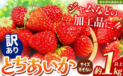 苺 いちご【訳あり】サイズランダム とちあいか 約1000g【栃木県共通返礼品】TT 栃木県 下野市