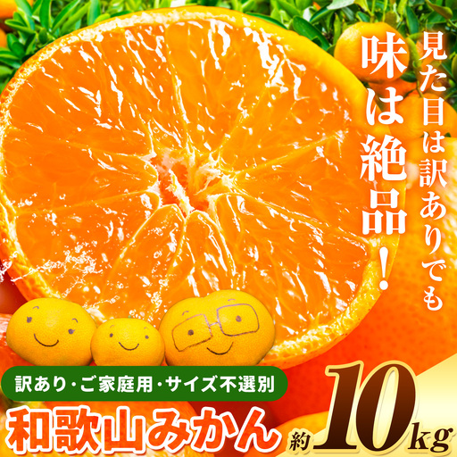 みかん 訳あり 和歌山みかん 約10kg