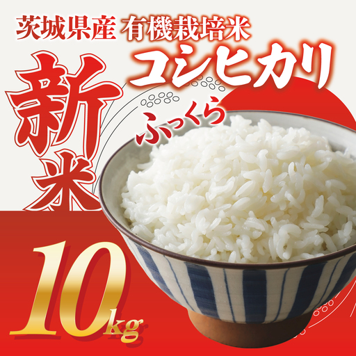 米 令和8年産 新米 コシヒカリ 精米 10kg 米