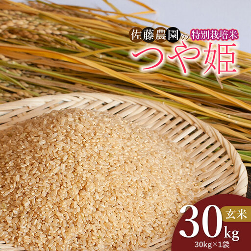 【令和8年産先行予約】特別栽培米つや姫 玄米 30kg(30kg×1袋)　山形県鶴岡市 佐藤農園