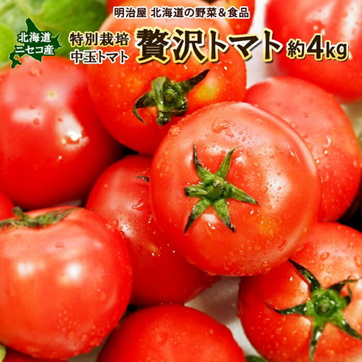 ＜早期予約・数量限定＞北海道ニセコ町 贅沢トマト4kg【2026年産】【32005】