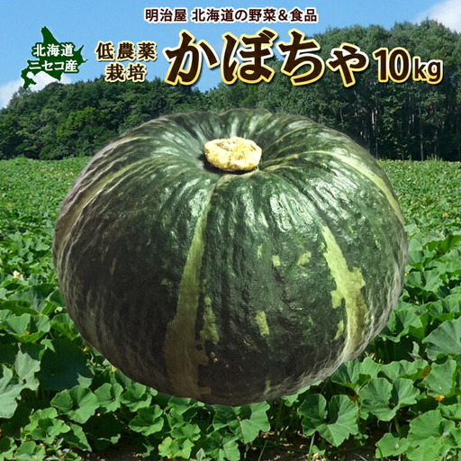 〈早期予約・数量限定〉北海道ニセコ町 かぼちゃ10kg【2026年産】【3200702】