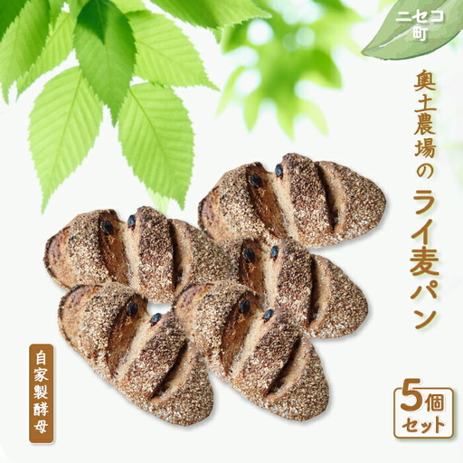 【ニセコ町】奥土農場のライ麦パン 5個セット（自家製酵母）【42007】