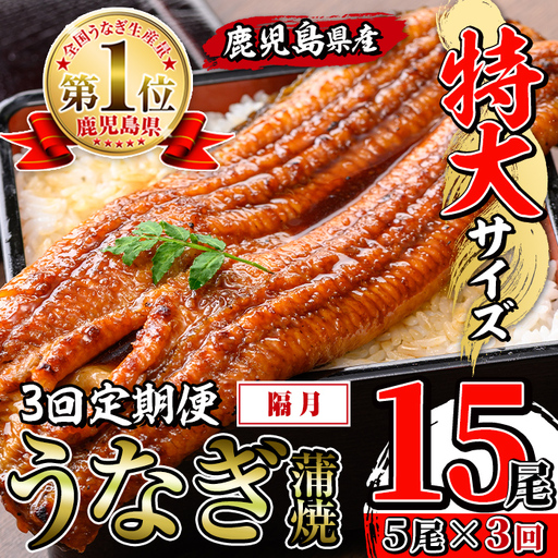 【3回定期便(隔月)】鹿児島県産 うなぎ蒲焼 特大 サイズ 5尾セット ＜（約220g×5・計約1100g）×全3回＞ 【薩摩川内鰻】 i1176-B