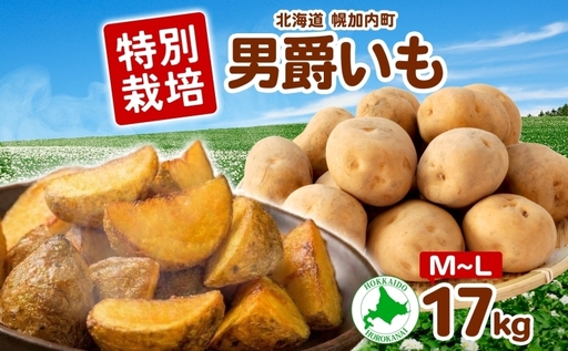 [2026年秋以降出荷] 北海道 じゃがいも 男爵 M〜L 約17kg ジャガイモ 馬鈴薯 だんしゃく 芋 いも イモ ポテト 常備 野菜 根菜 農作物 お取り寄せ 産地直送 北海道産 畑農場 送料無料 幌加内