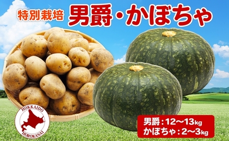 じゃがいも・かぼちゃ詰合せ 男爵北海道産 じゃがいも・かぼちゃ詰合せ[計約15kg]