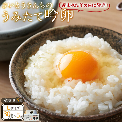 【3回定期便】さいとうさんちのうみたて吟卵　30個入り 卵